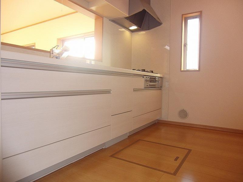 Kitchen. Local (11 May 2013) Shooting