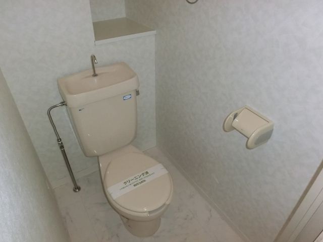 Toilet. It is a toilet with a clean. Storage is a shelf-conditioned. 