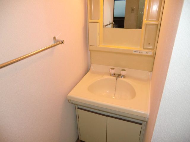 Washroom. It is equipped with separate vanity