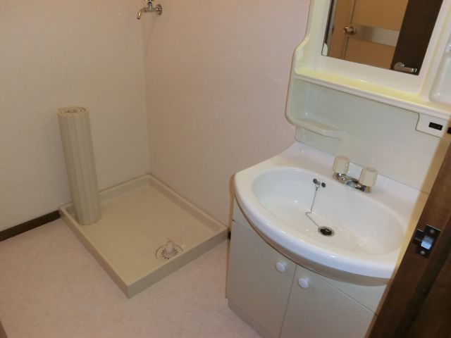 Washroom. Vanity and a washing machine inside the room!