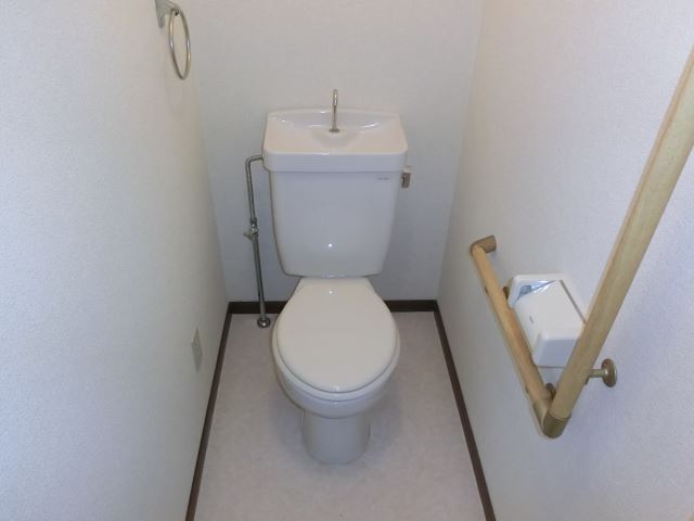 Toilet. It is a toilet with a clean.