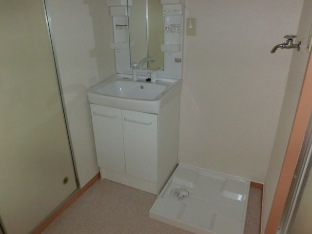 Washroom. Separate vanity and a washing machine inside the yard