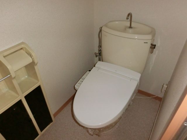 Toilet. Equipped with shower toilet!