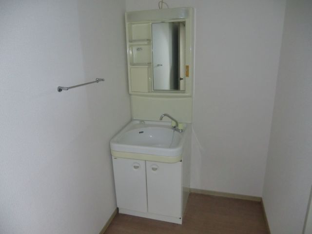 Washroom. Separate vanity and free space