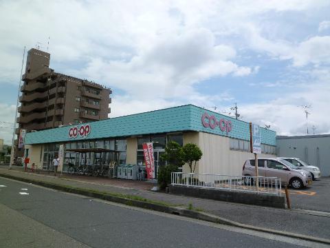 Other. Coop Inuyama store up to (other) 1254m