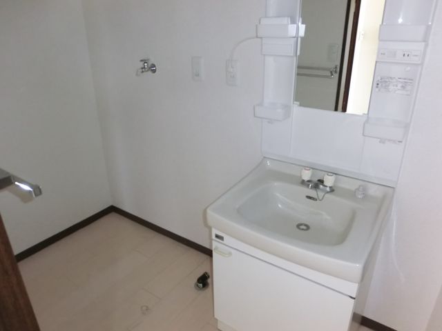 Washroom. Separate vanity and a washing machine inside the yard