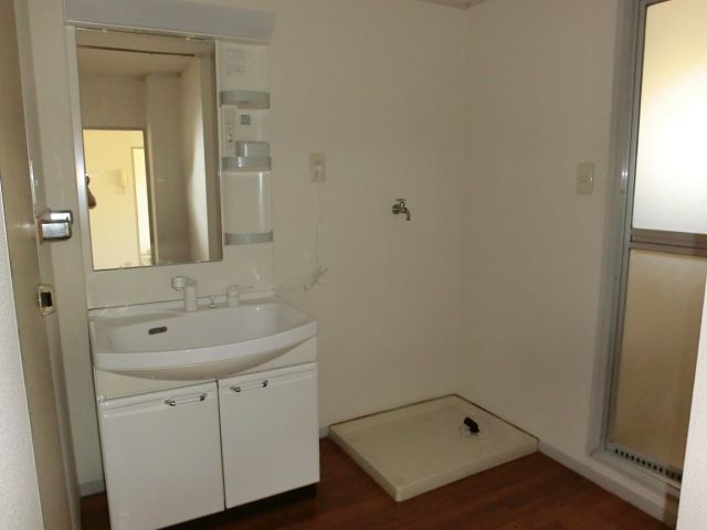 Washroom. Vanity and a washing machine inside the yard!