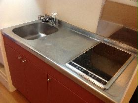 Kitchen. Electric stove 2-neck