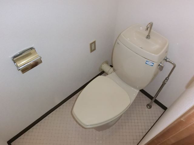 Toilet. A clean toilet space.