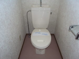 Toilet