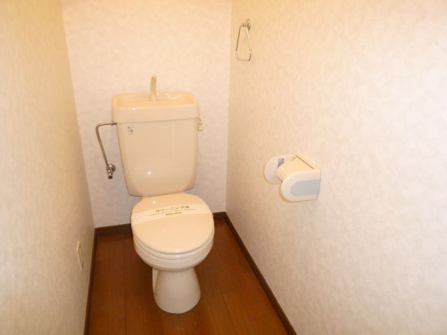 Toilet. There is also a shelf on top of the toilet!