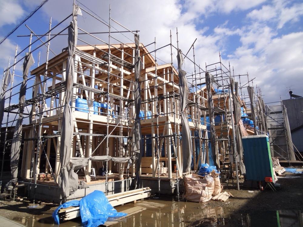 Local appearance photo. Whole (2013.12.20 shooting)