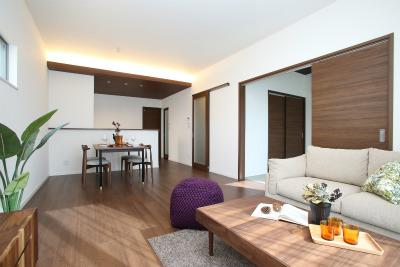 Living. Indoor (12 May 2013) Shooting