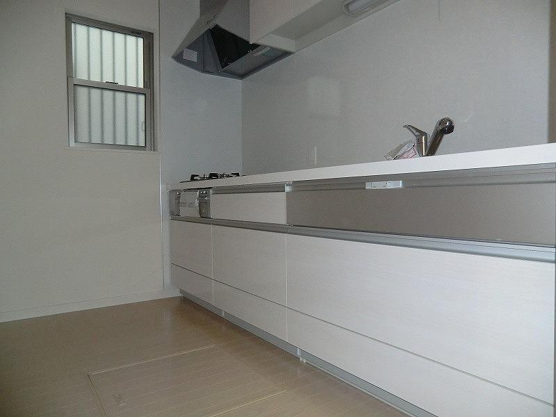 Kitchen. Local (September 2013) Shooting