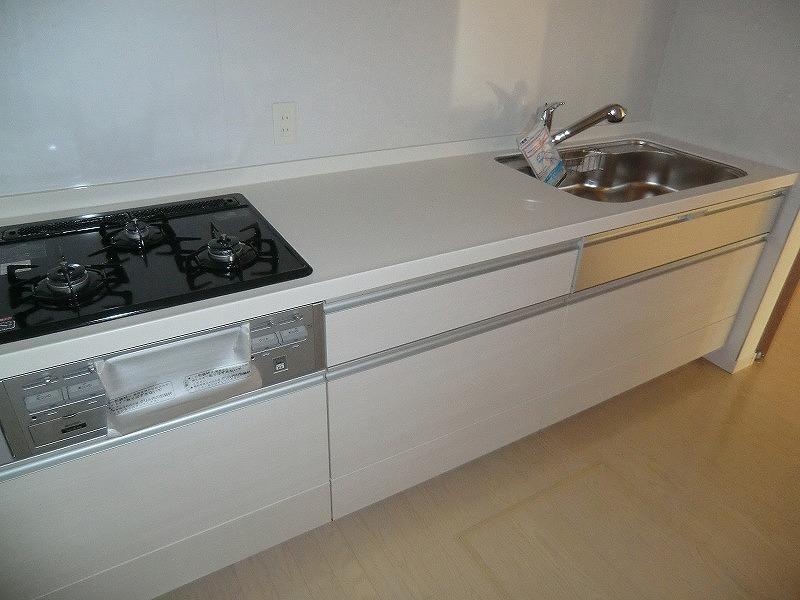 Kitchen. Local (September 2013) Shooting