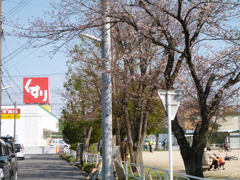 Drug store. 100m until cedar pharmacy