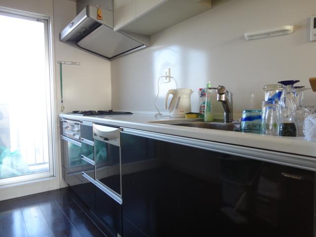 Kitchen. Indoor (12 May 2013) Shooting