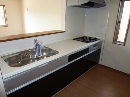 Kitchen. Indoor (11 May 2013) Shooting