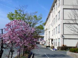 Primary school. Kinuura to elementary school 1030m