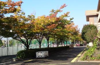 Primary school. 1067m until Kariya Municipal Heisei Elementary School