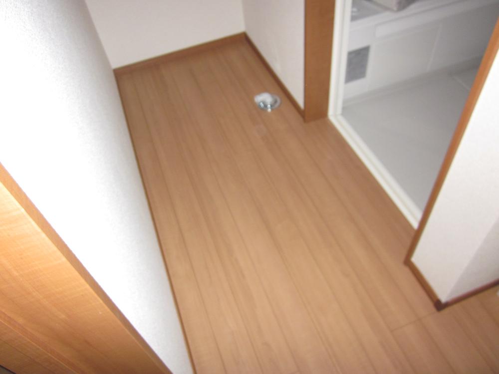 Wash basin, toilet. Dressing room