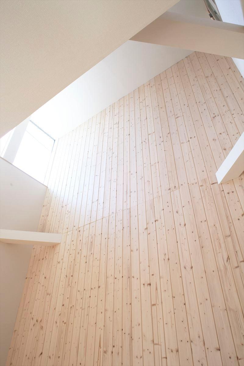 Other introspection. Building D Fukinuki