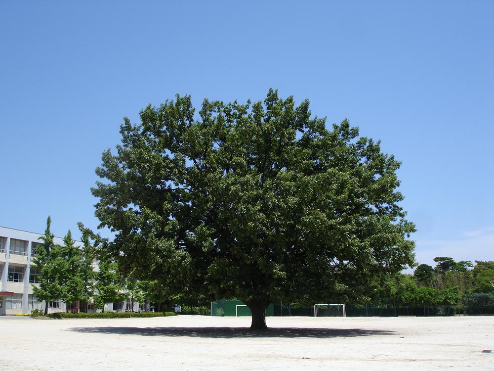 Primary school. 1733m until Kariya Municipal Fuji Matsukita elementary school