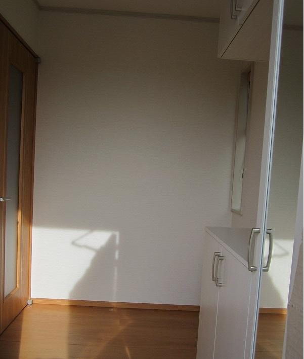 Entrance. Cupboard, With mirror! 