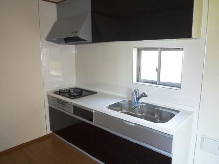 Kitchen. Indoor (11 May 2013) Shooting