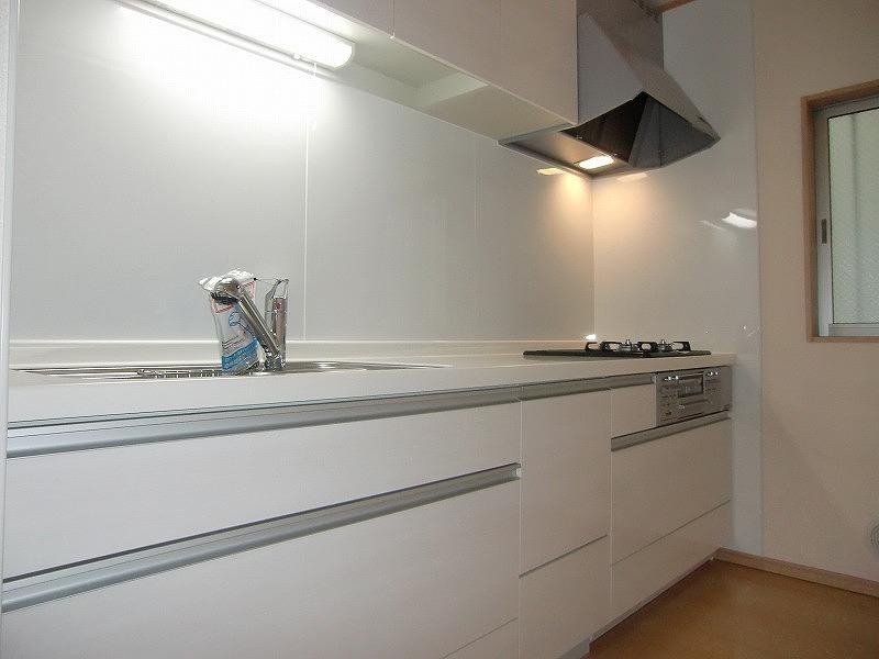 Kitchen. Local (12 May 2013) Shooting