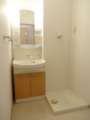 Washroom. Bathroom Vanity