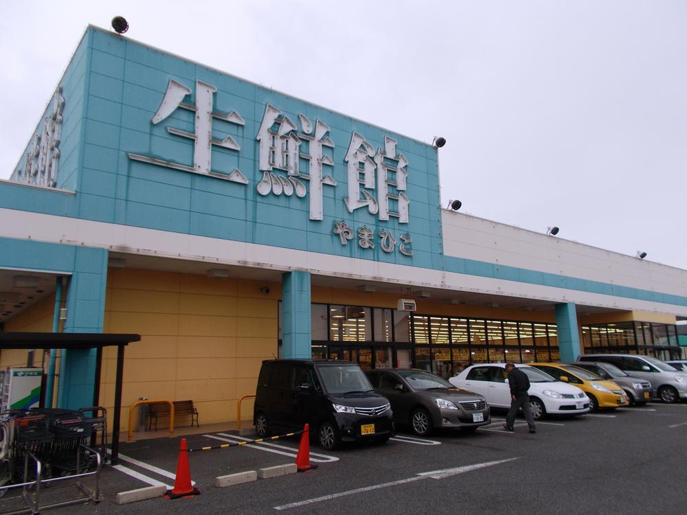 Supermarket. 1173m until fresh Museum and Mahiko Kasugai store