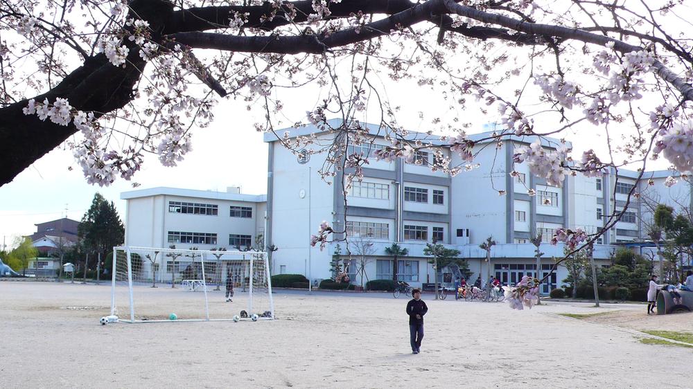 Primary school. Kasugai Municipal Toriimatsu to elementary school 496m