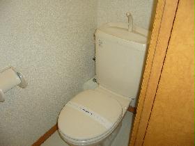 Toilet. There is also a storage space in the part of the above