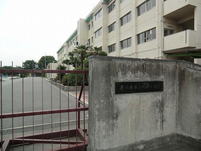 Primary school. Kasugai 1249m to stand Kashiwabara elementary school
