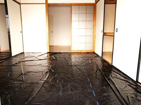 Living and room. Japanese style room