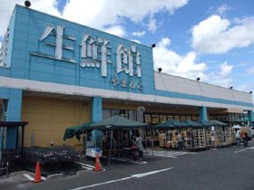 Other. Fresh Museum and Mahiko Kasugai store up to (other) 409m