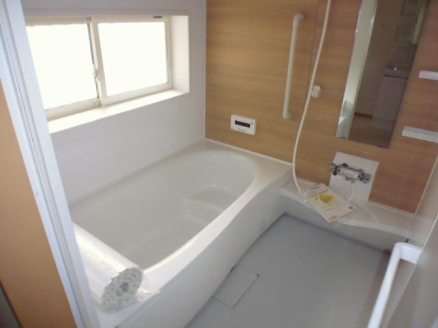 Bathroom. Indoor (10 May 2013) Shooting
