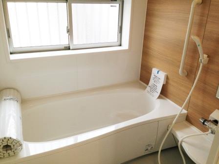 Bathroom. Indoor (12 May 2013) Shooting