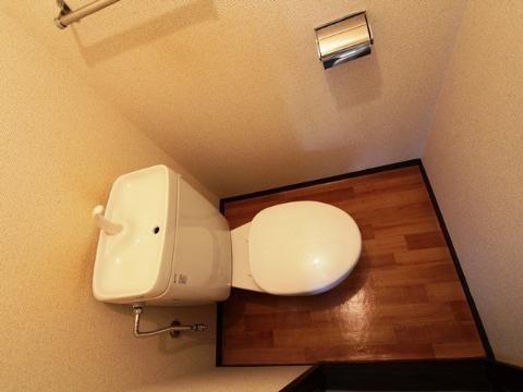 Toilet. WC