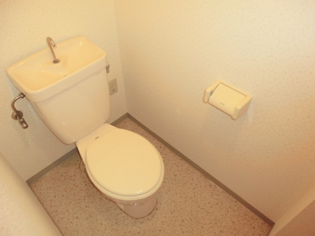 Toilet. Individual