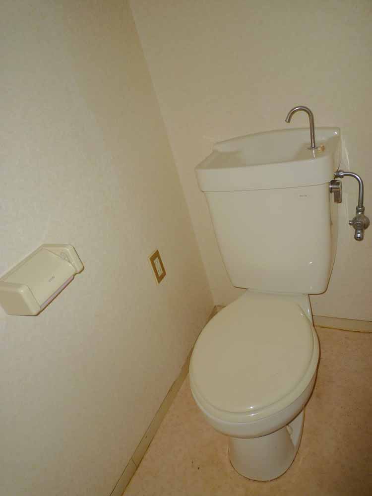 Toilet. Western-style toilet