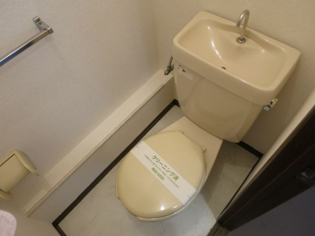 Toilet. WC