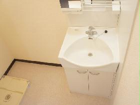 Washroom. Independence is a wash basin!
