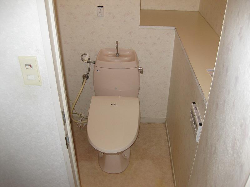 Toilet. Indoor (12 May 2012) shooting