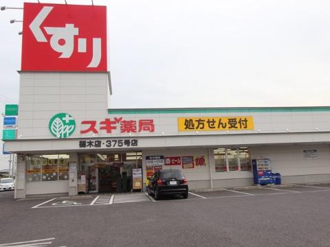 Other. Cedar pharmacy Shinoki store up to (other) 1812m