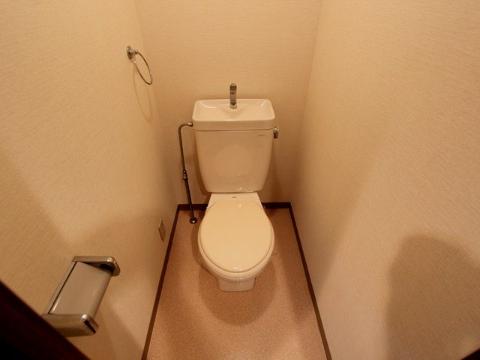 Toilet. WC