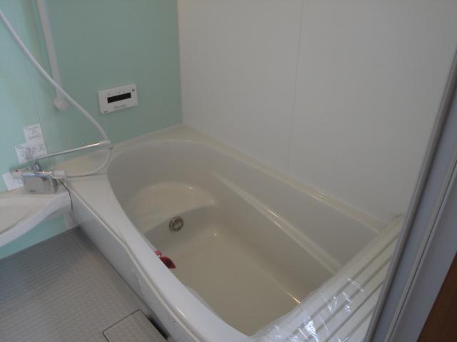 Other. Same specifications bathtub.  Different from the actual image. 