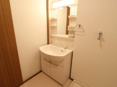 Washroom. Bathroom Vanity