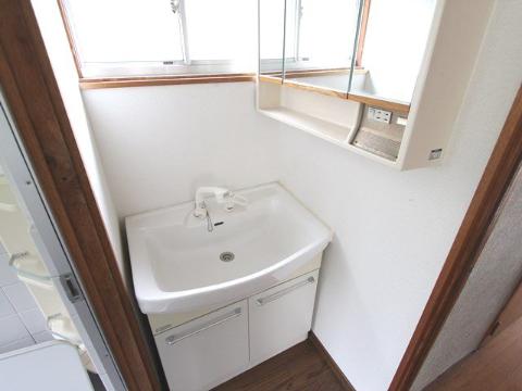 Washroom. Bathroom Vanity